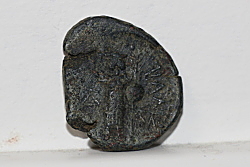 Help-Identifying-Ancients-Follows-