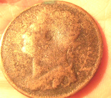 Please-Help-Identify