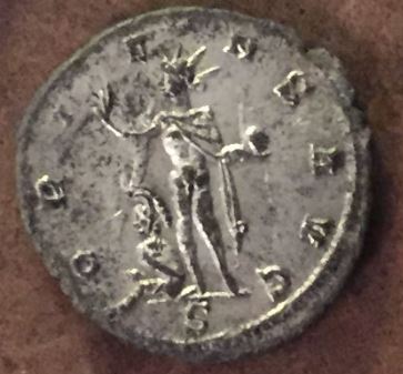 Do-I-Have-A-Rare-Aurelian-?