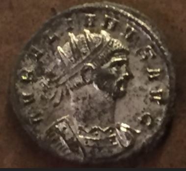 Do-I-Have-A-Rare-Aurelian-?