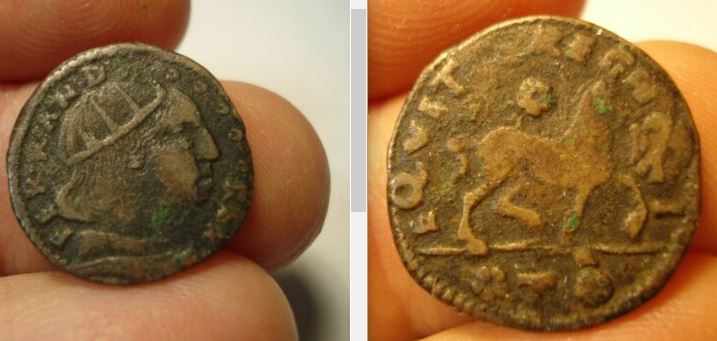 A-Very-Strange-Looking-Radiate-For-ID