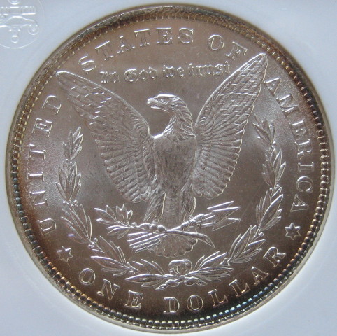 1884-Morgan