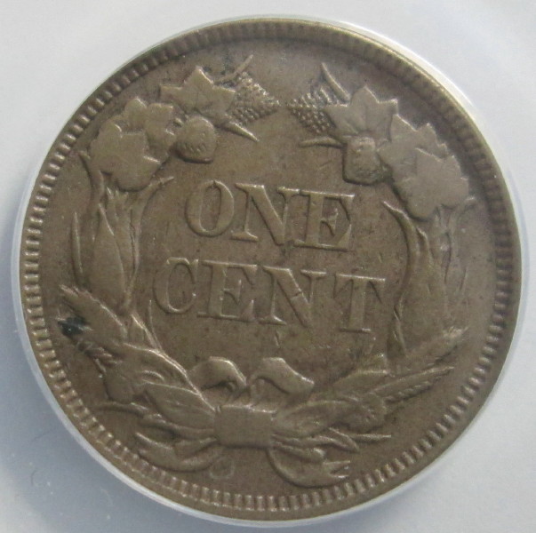 The-51-Days-Of-Indian-Head-Cents-II-With-A-Fe-Cents-Prelude
