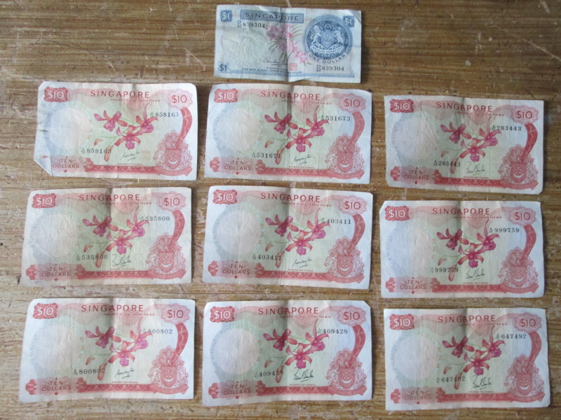 Singapore-Orchid-Notes