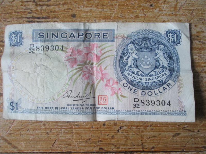 Singapore-Orchid-Notes