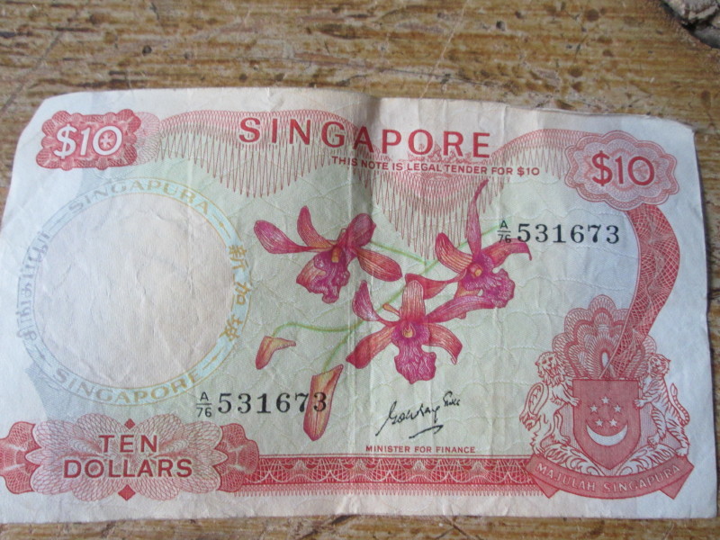 Singapore-Orchid-Notes