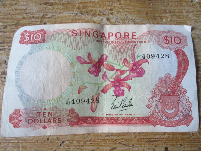 Singapore-Orchid-Notes