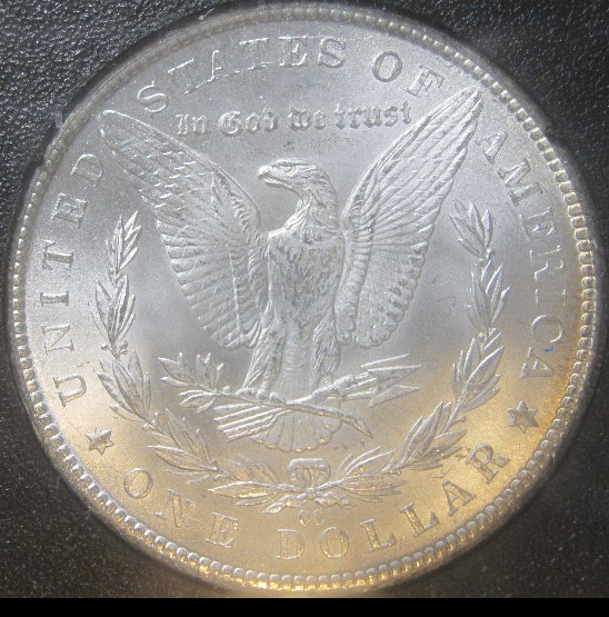 1884-CC-GSA-Morgan-For-Grading