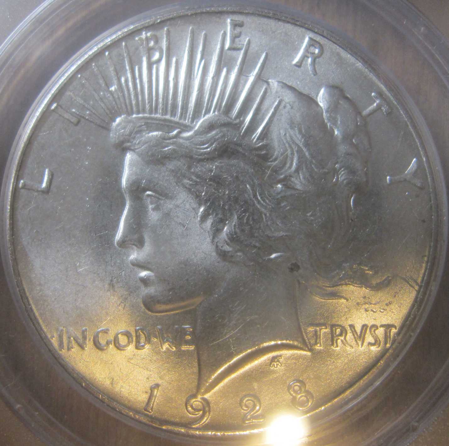 1928-Peace-Dollar-For-Grading