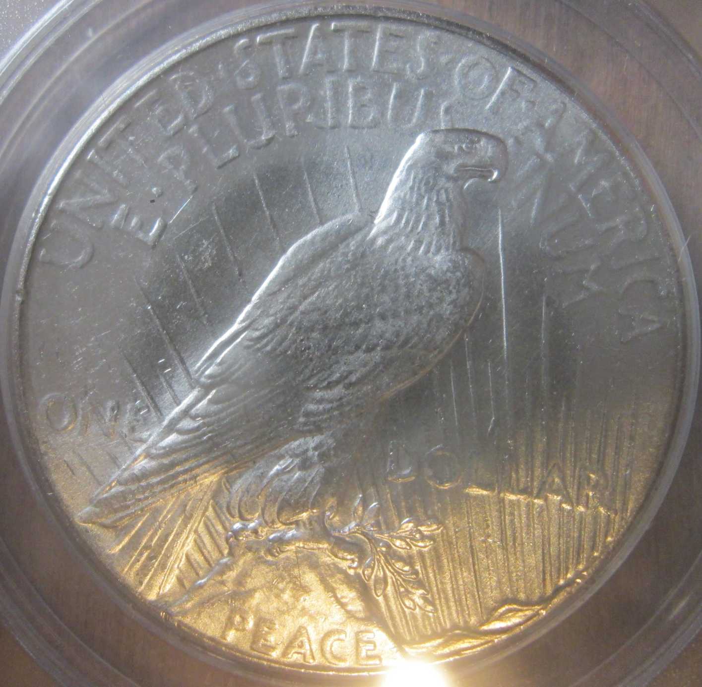 1928-Peace-Dollar-For-Grading