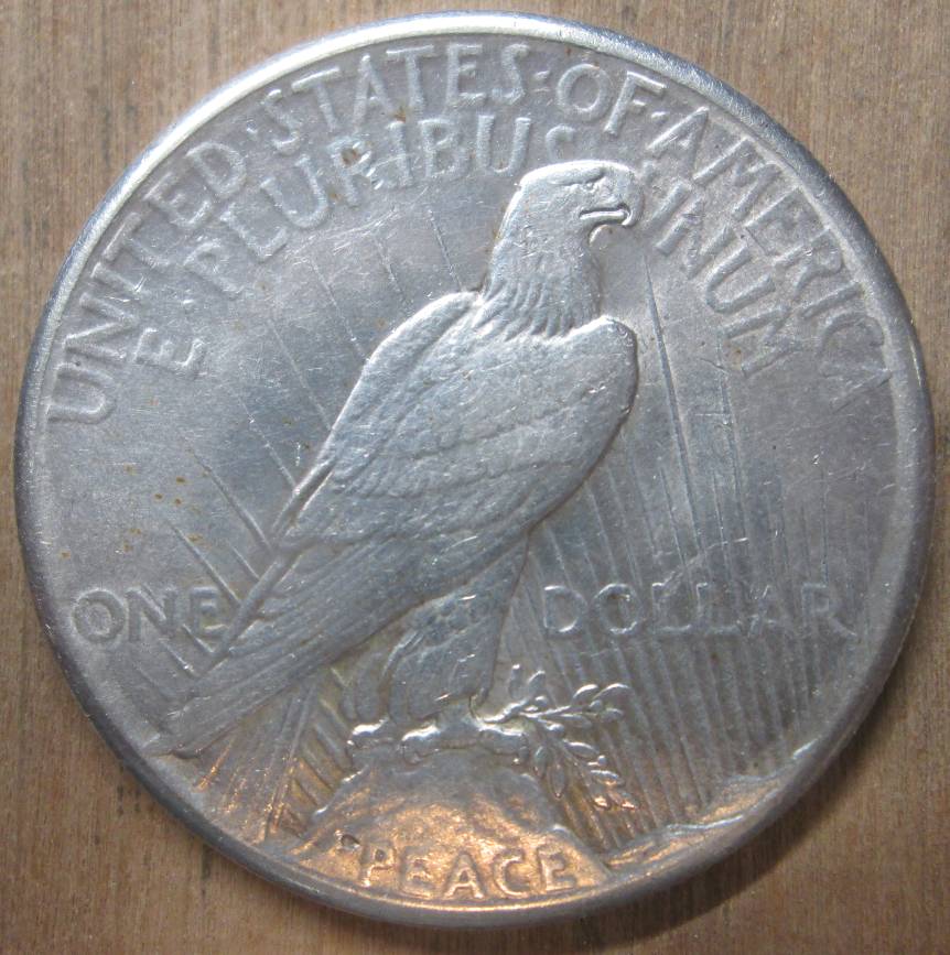 1928-Peace-Dollar-For-Grading