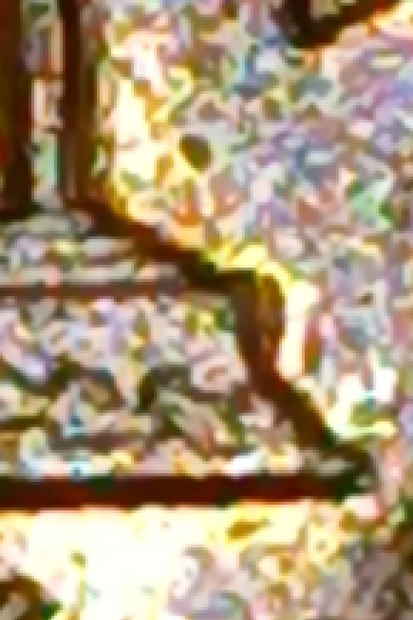 1970-D-Penny-That's-Like-1969-Floating-Roof-And-Messed-Up-FG!-Is-It-An-Error?