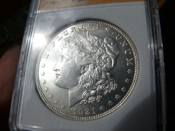 Grade-My-Morgans!