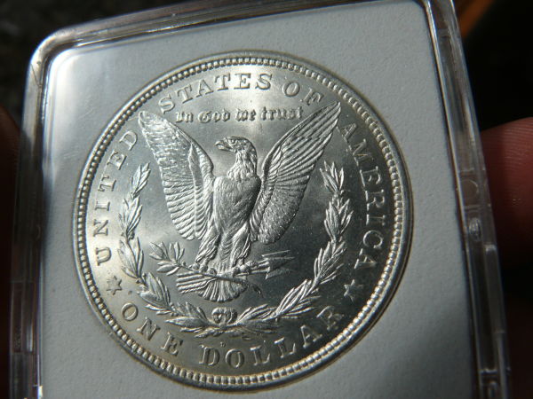 Grade-My-Morgans!