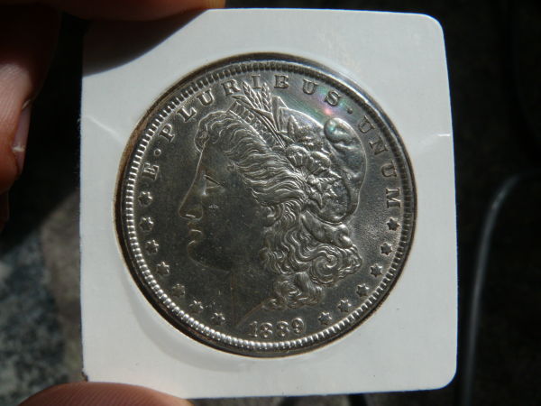 Grade-My-Morgans!