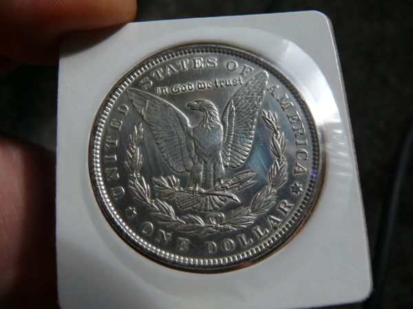 Grade-My-Morgans!