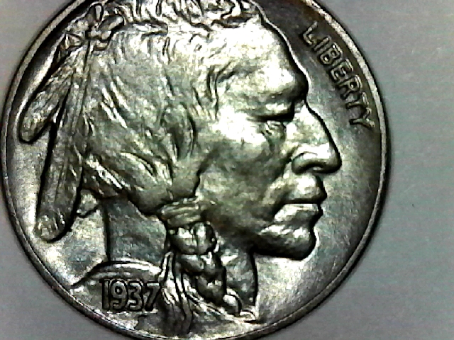 1937-Buffalo-Nickel-