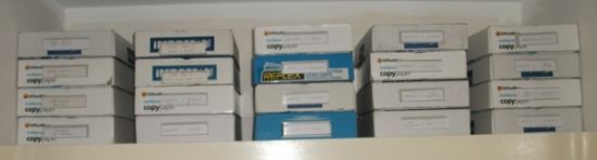 Storing-A-Foreign-Coin-Collection