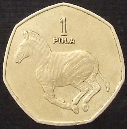 Post-Your-Coins-Representing-The-Animal-Kingdom.