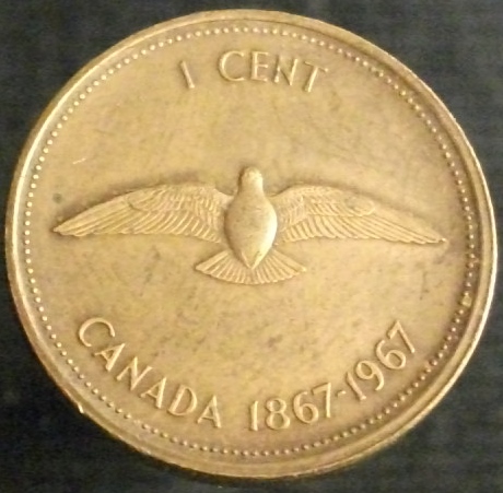 Post-Your-Bird-Coins