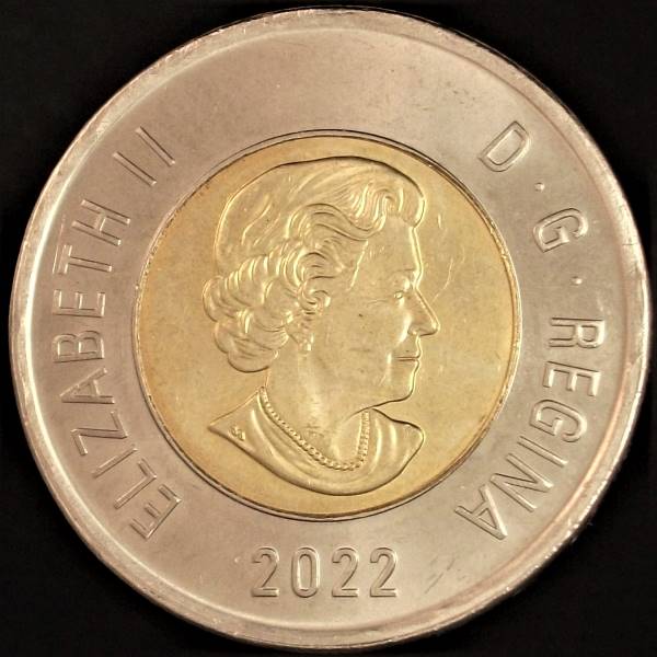 Yet-Another-Forum-Game---Numismatic-Go-Fish!