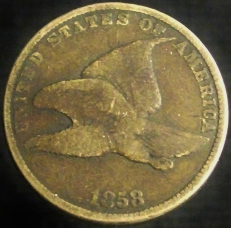 Post-Your-Bird-Coins