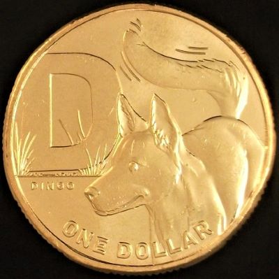 Post-Your-Coins/Medals/Tokens-With-A-Dog