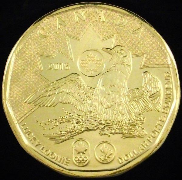 Post-Your-Bird-Coins