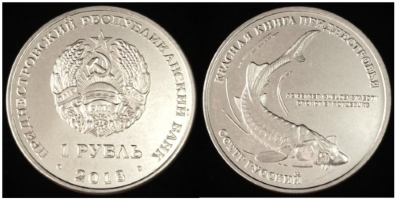 Yet-Another-Forum-Game---Numismatic-Go-Fish!