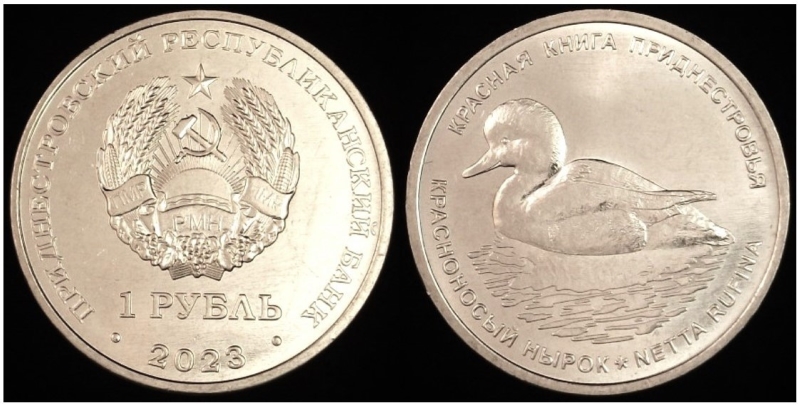 Post-Your-Bird-Coins
