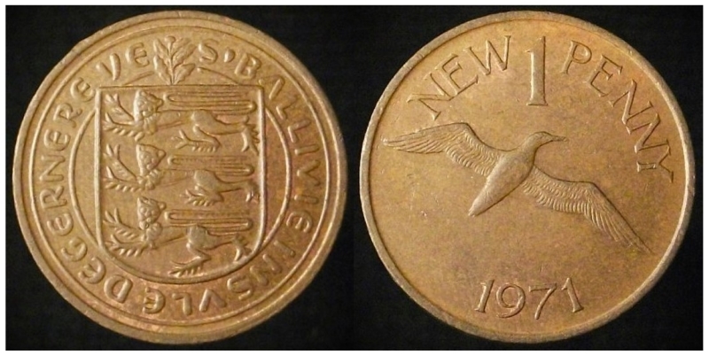 Post-Your-Bird-Coins