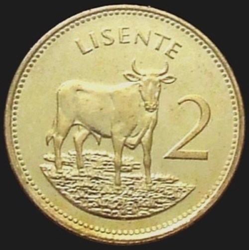 Bovine-Coins---Post-Yours