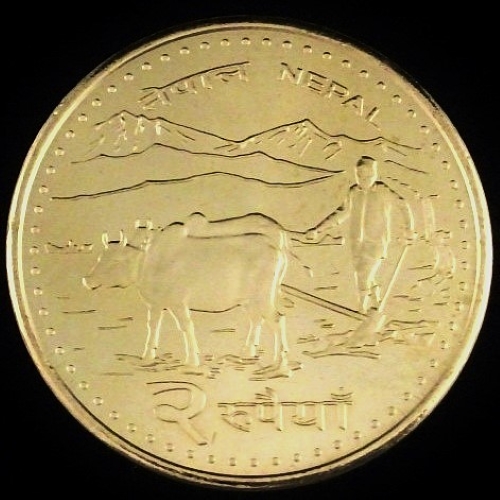 Bovine-Coins---Post-Yours