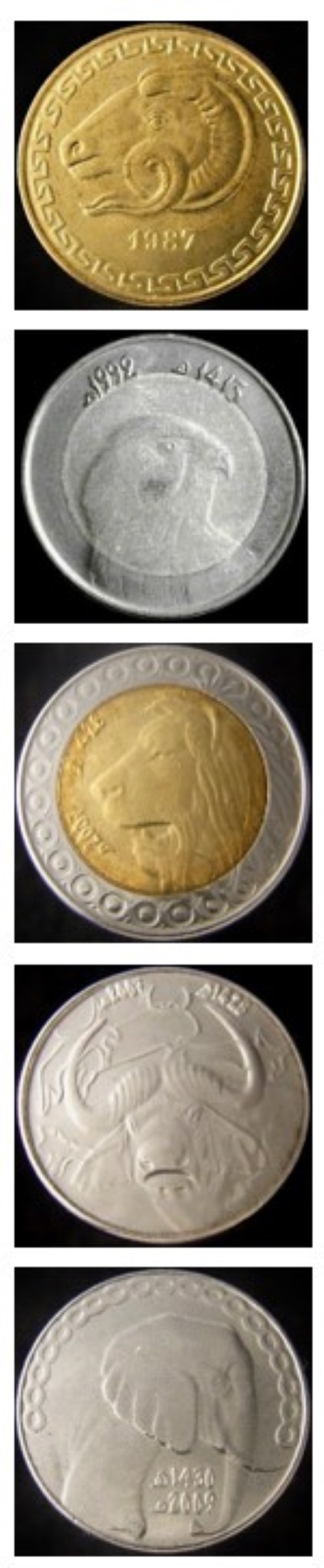 Post-Your-Coins-Representing-The-Animal-Kingdom.