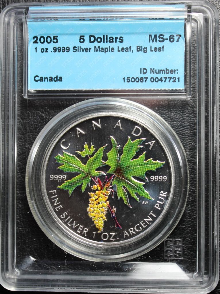Do-You-Collect-Graded-NCLT--Coins---Reasons