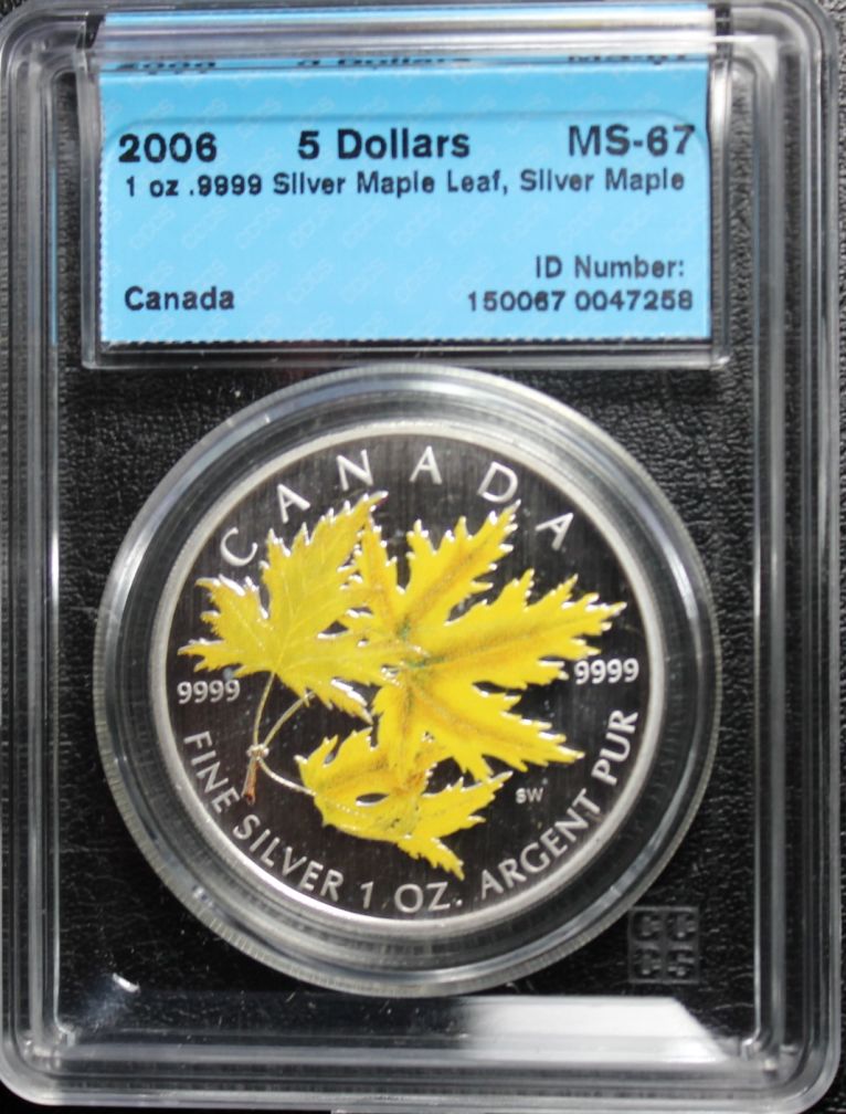 Do-You-Collect-Graded-NCLT--Coins---Reasons