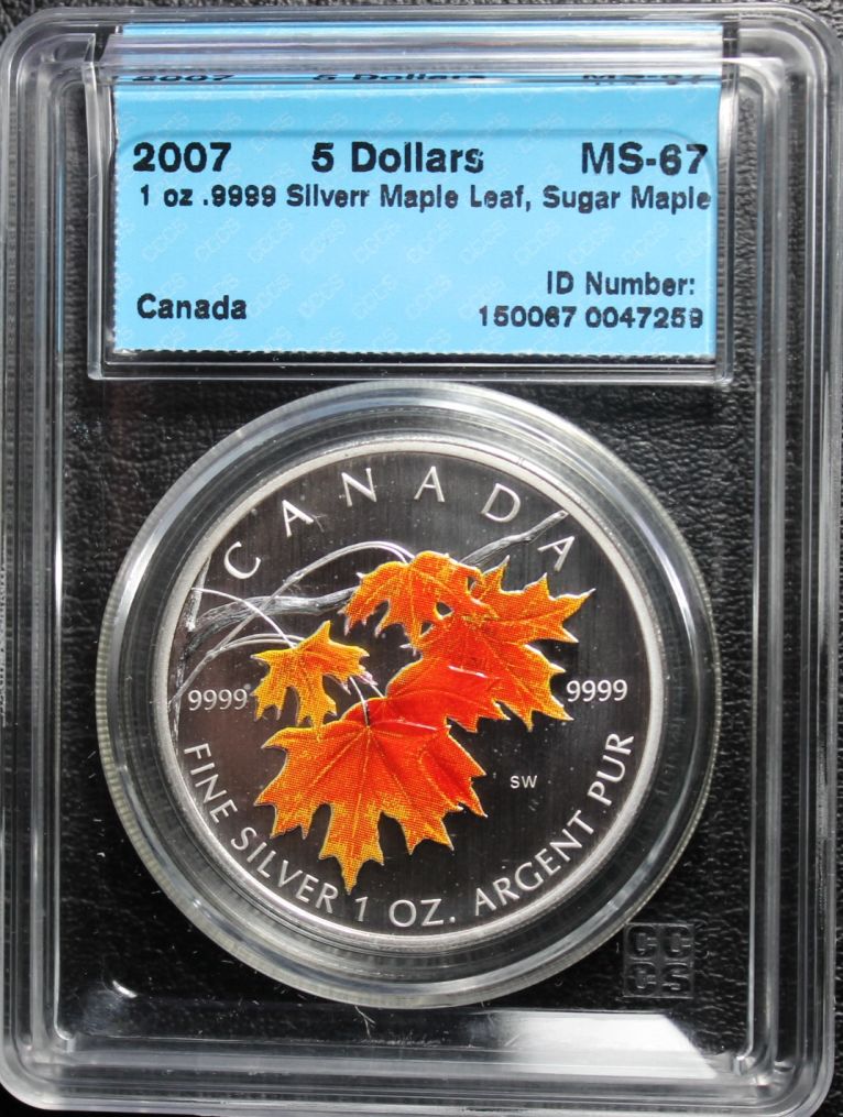 Do-You-Collect-Graded-NCLT--Coins---Reasons