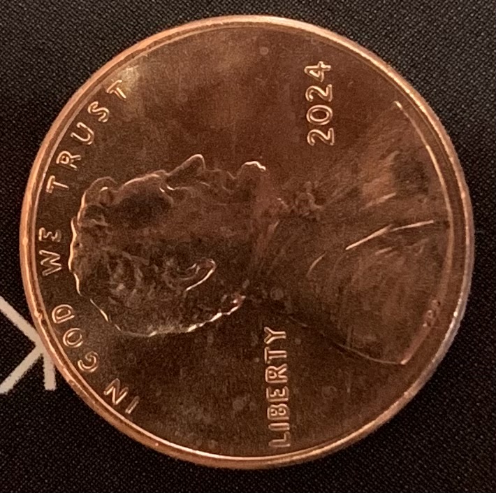 2024-Penny-Ear-Lobe-Doubling?