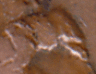 1949-D-Penny