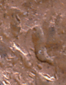 1949-D-Penny