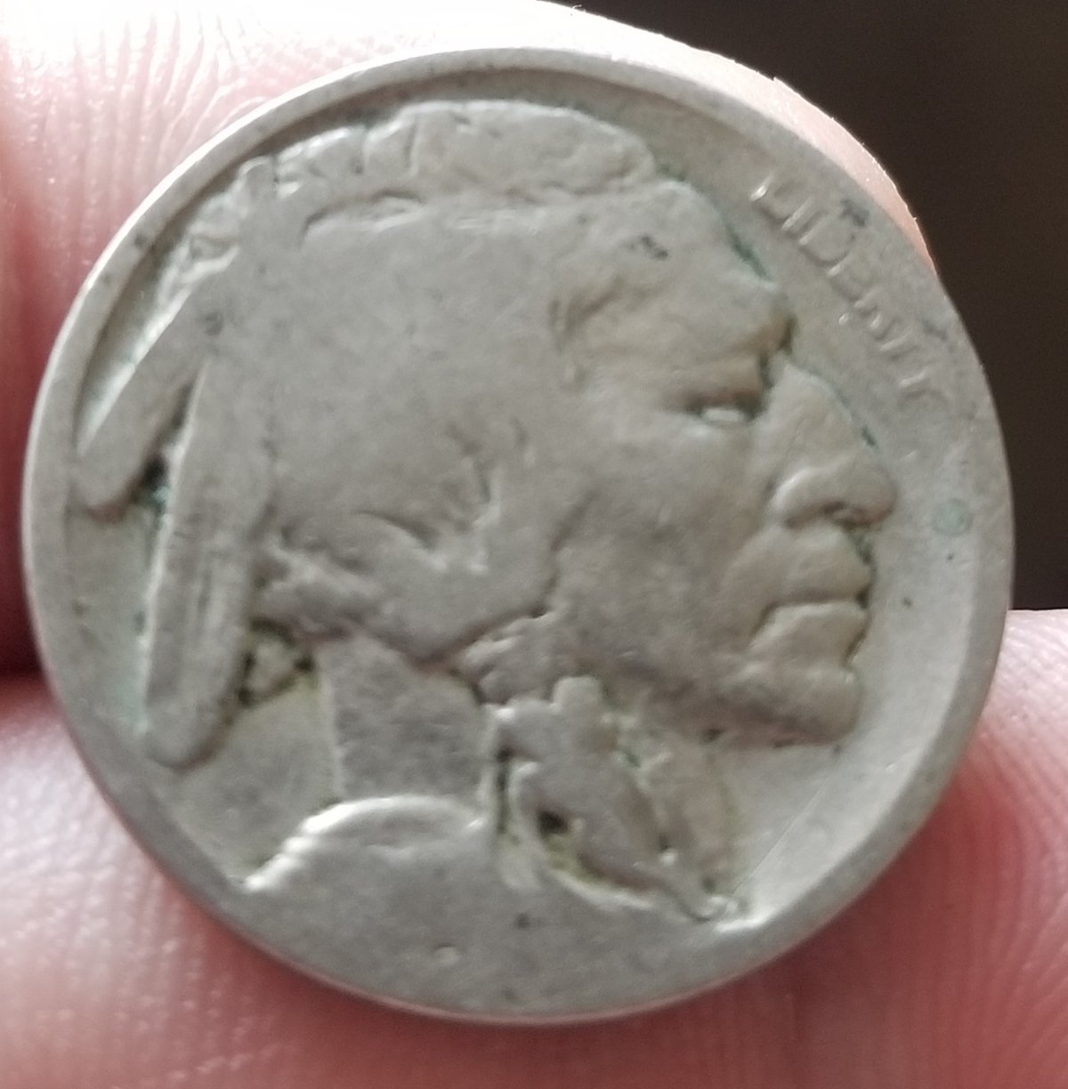 Buffalo-Nickel-Turning-Green