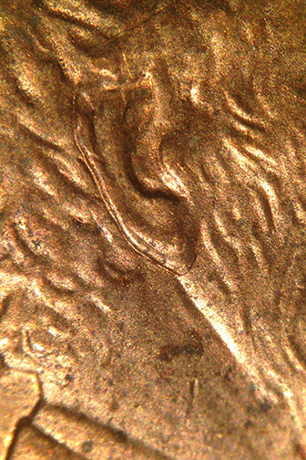 1997-Double-Ear-DDO-001
