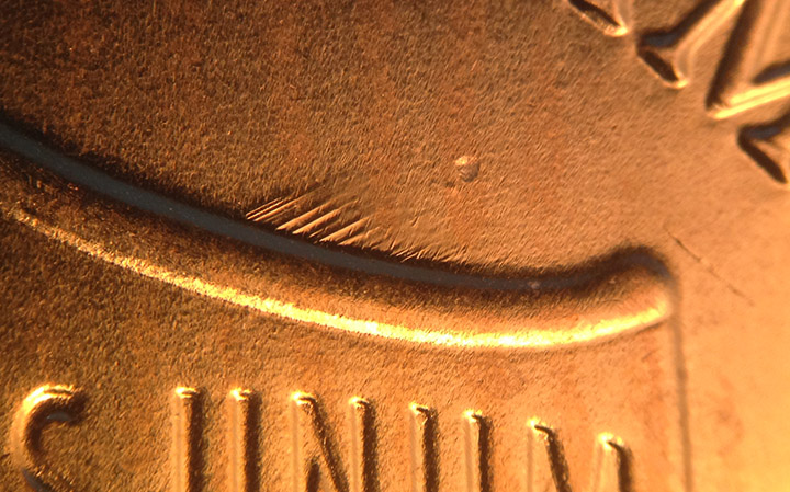 2017-P-Lincoln-Shield-Cents---They're-Out