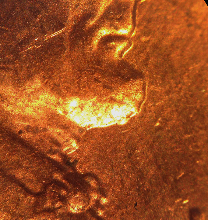 1984-LMC-Doubled-Die---Which-One?