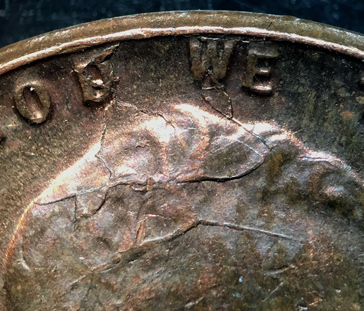 Lincoln-Cent-Finds-Yesterday-Testing-New-Photo-Studio-So-Photo-Heavy