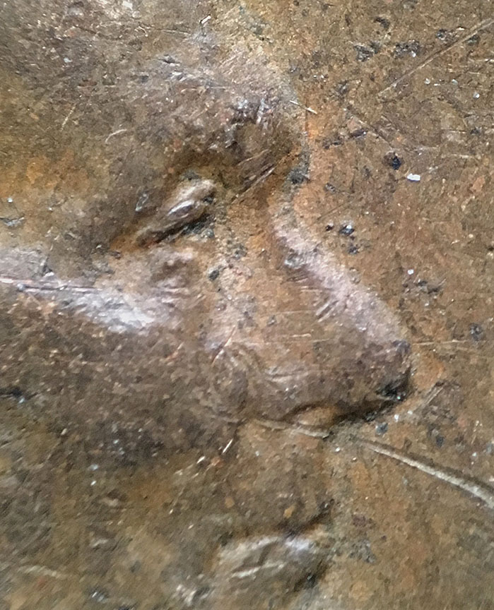 1942-Lincoln-Wheat-Cent-Doubled-Die-DDO-002,-FS-101