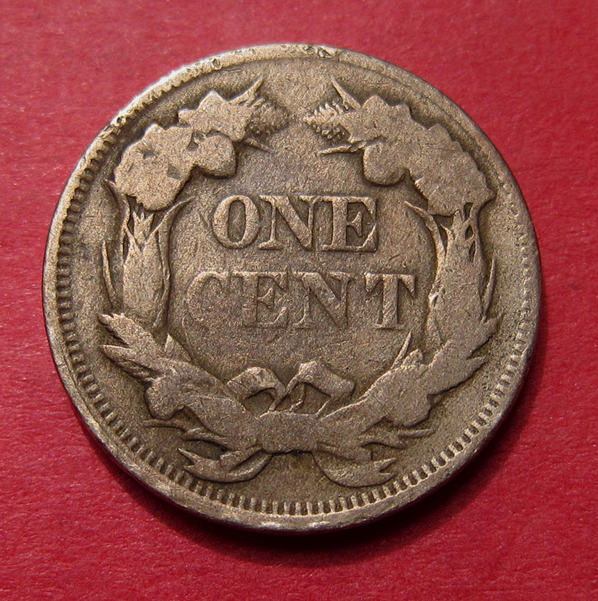 1857-Flying-Eagle-Cent-Doubled-Die---Coin-1-Help-Needed-To-Attribute