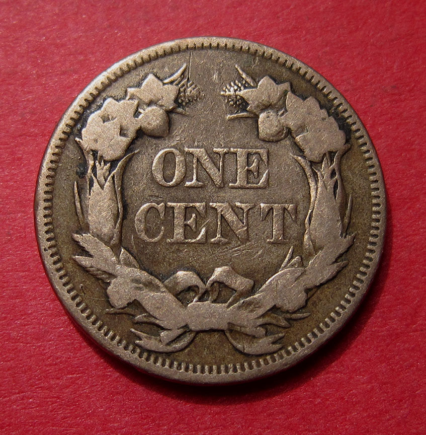 1857-Flying-Eagle-Cent-Doubled-Die---Coin-2-Help-Needed-To-Attribute