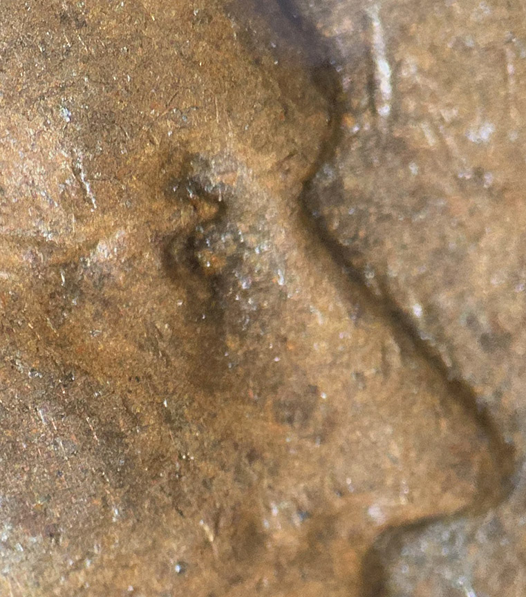 1955-D-Lincoln-Wheat-Cent-Doubled-Die---DDO-001,-FS-101