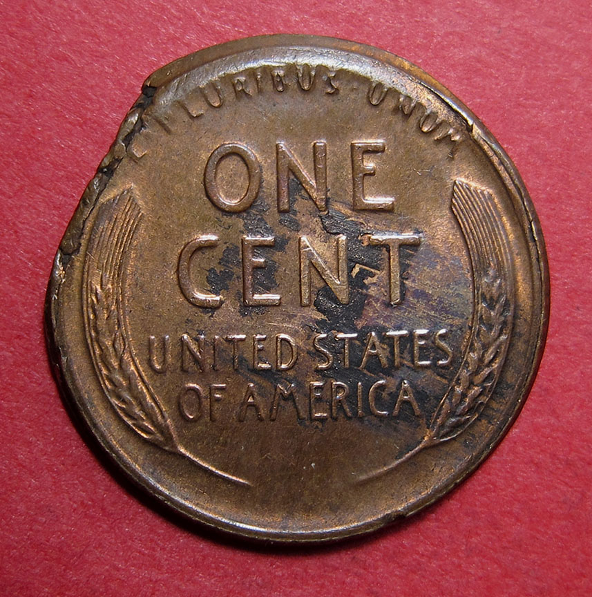 1955-Lincoln-Wheat-Cent-Mint-Error---Ragged-Clip-Plus-Partial-Collar